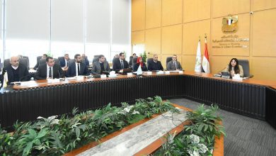 وزيرة الإسكان