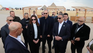 محافظ الجيزة