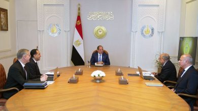 الرئيس السيسي