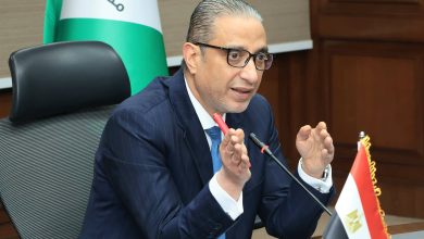 محافظ الجيزة