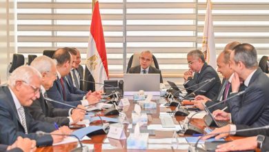 وزير الاستثمار