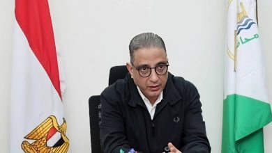 محافظ الجيزة