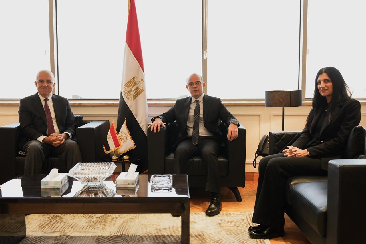 وزير الاستثمار