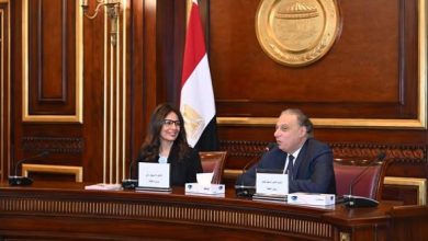 وزيرة الثقافة