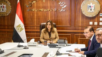 وزيرة التنمية