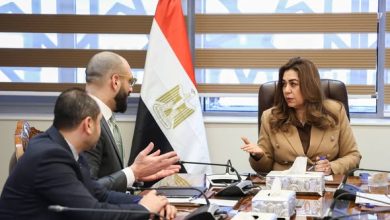 وزيرة التنمية