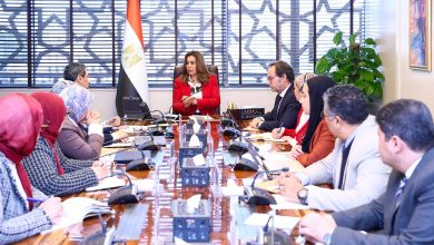 وزيرة التنمية