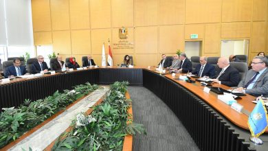 وزيرة الاسكان