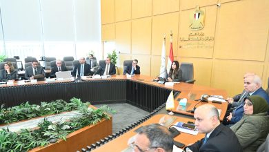 وزيرة الاسكان