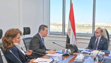 وزير الاستثمار