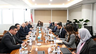 وزيرة الاسكان