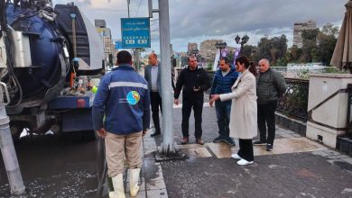 محافظ الجيزة