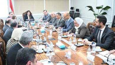 وزيرة الاسكان