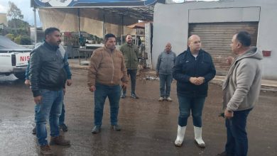 محافظ الجيزة