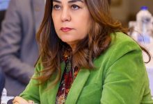 وزيرة التنمية