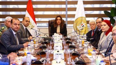 وزيرة التنمية