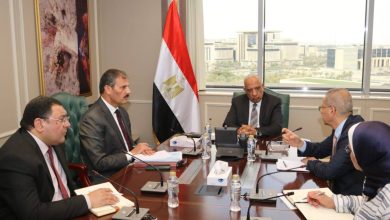 وزير الكهرباء