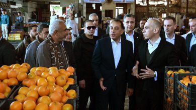 رئيس الوزراء