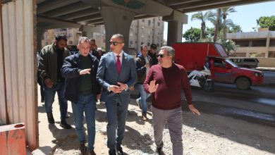 محافظ الجيزة