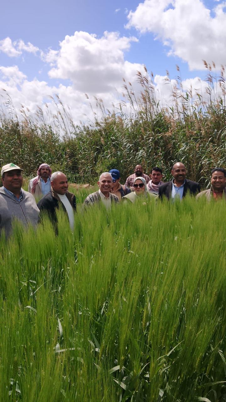 وزارة الزراعة