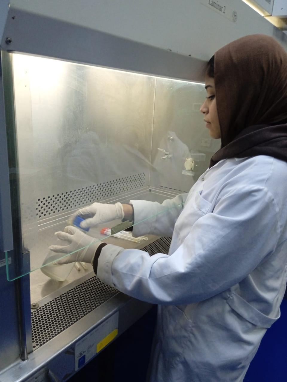 معهد بحوث الصحة الحيوانية