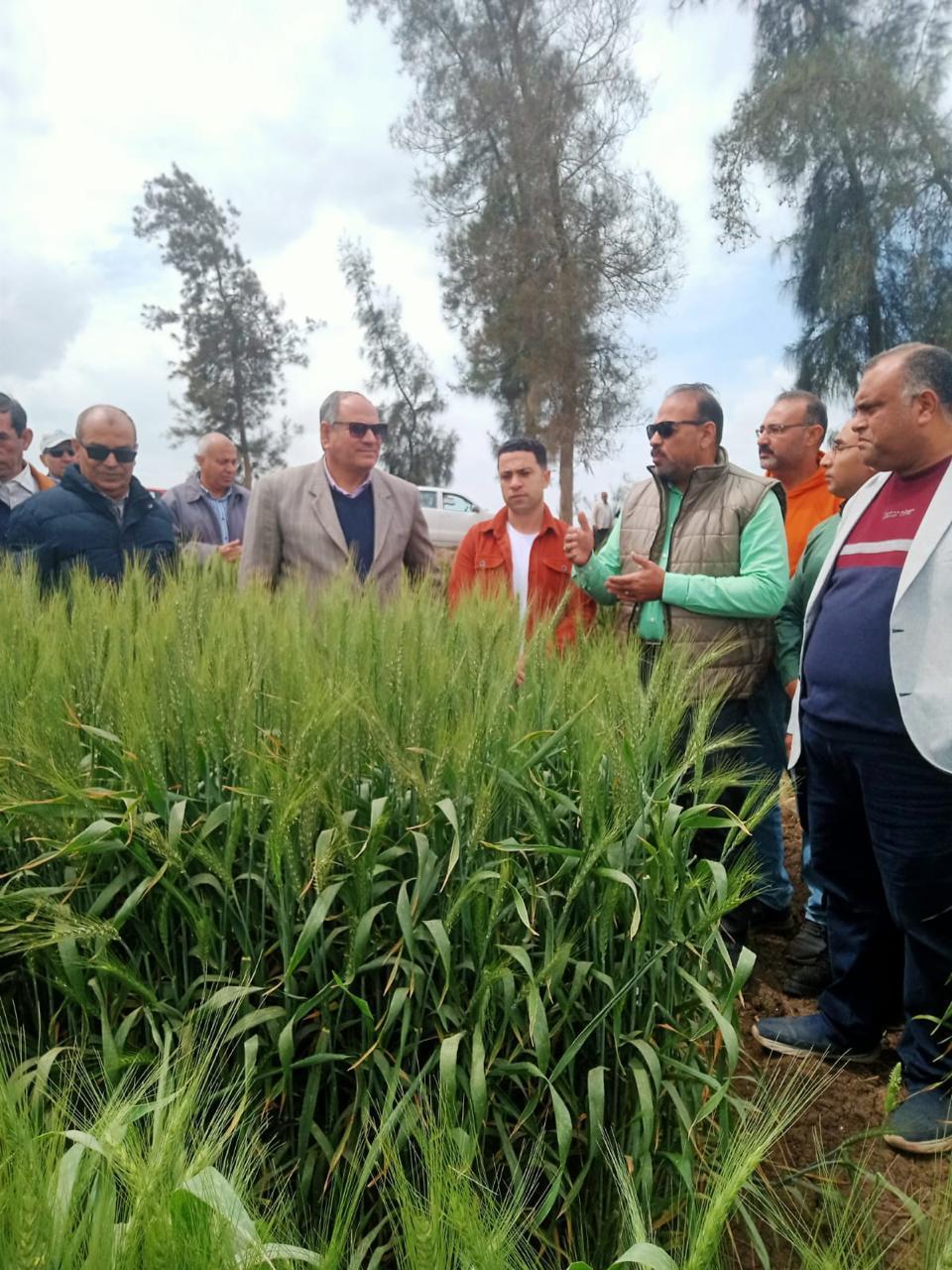  البحوث الزراعية