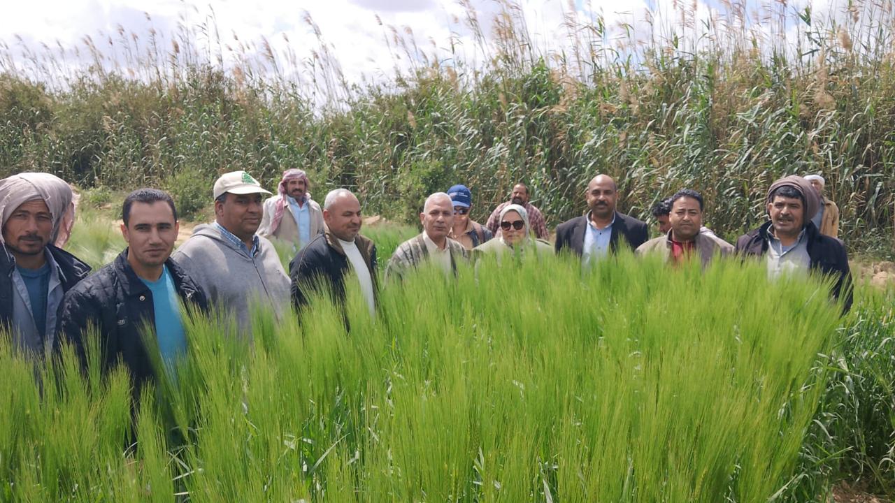 وزارة الزراعة