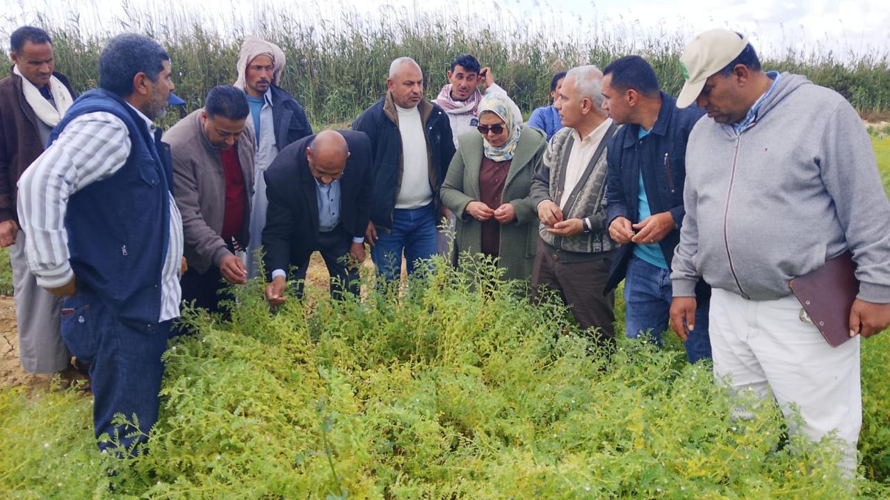 وزارة الزراعة