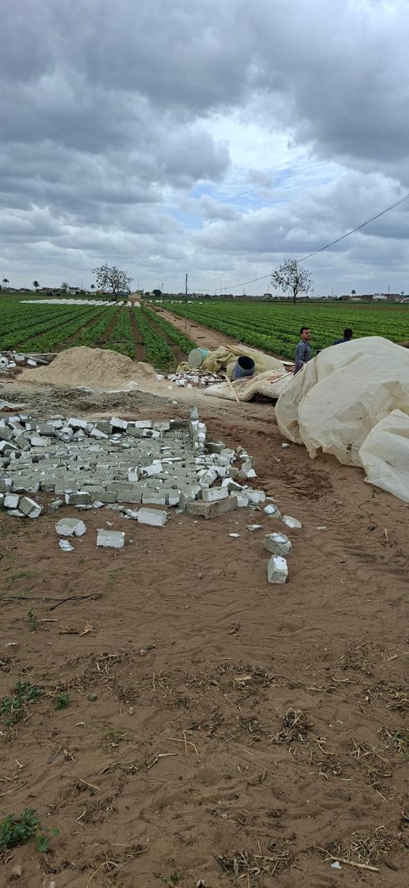 وزارة الزراعة