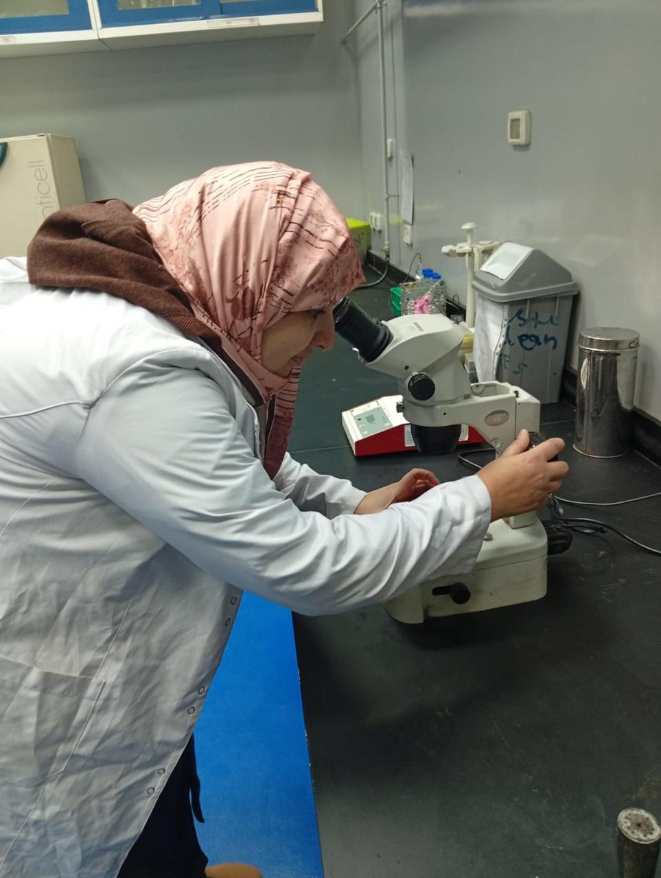 وزارة الزراعة