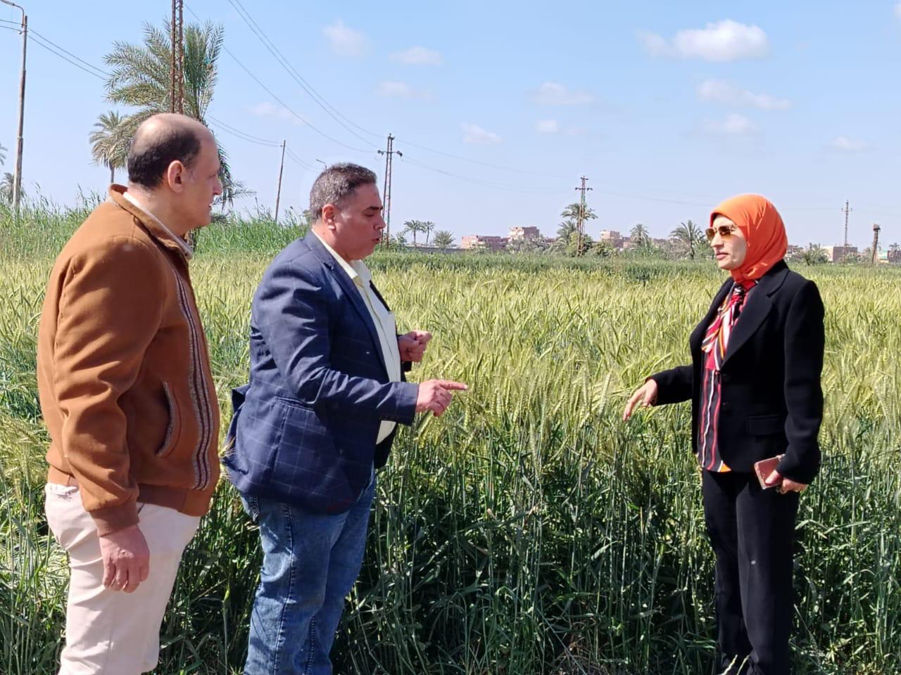 البحوث الزراعية 