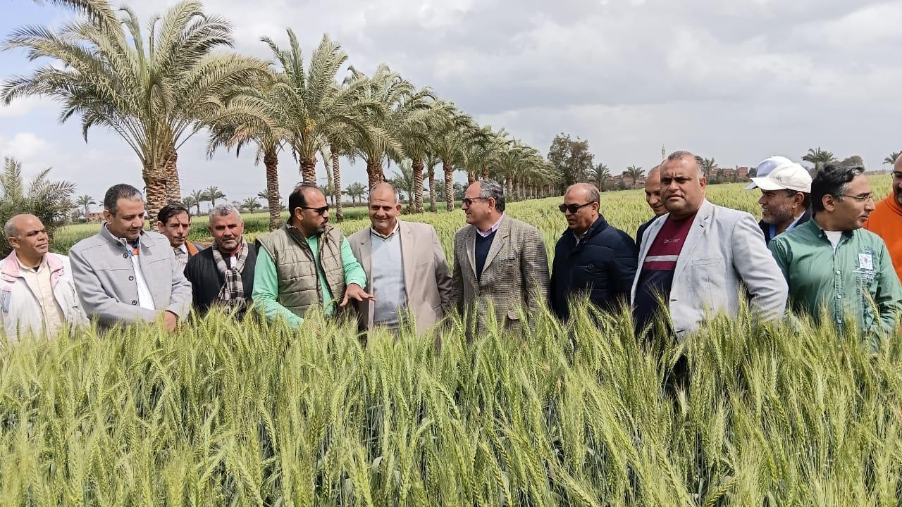  البحوث الزراعية