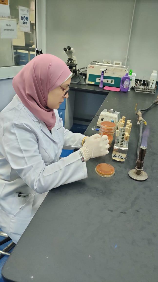 معهد بحوث الصحة الحيوانية